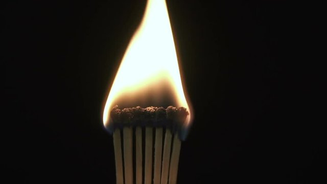 Burning match in the dark. Slow Motion