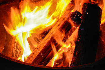 Burning Firewood at a Campground