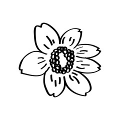 Nature and plant concept represented by flower icon. Isolated and flat  illustration 
