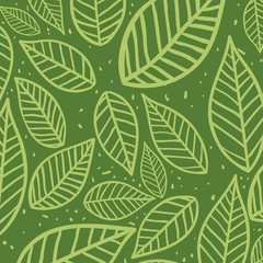 Fototapeta na wymiar Nature concept represented by leaves icon. Green and background illustration 