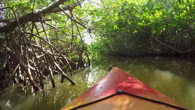 FPV CLOSE UP: Canoeing on river through mangrove jungle forest