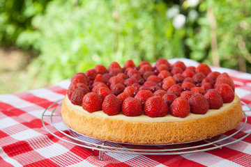 Fruit cake with strawberries and red currants on a table