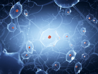 3d rendered illustration of a nerve cell