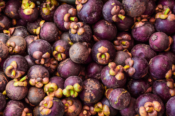 Fresh Mangosteens in a Local Market