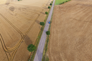 Vue aérienne champs de blé