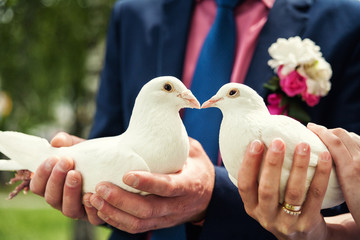 wedding doves