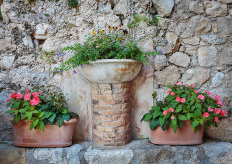 Fototapeta na wymiar Pots of flowers near a wall