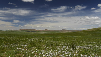 Mongolisches Hochland
