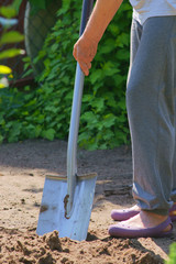 Gardener digging soil with shovel - obrazy, fototapety, plakaty