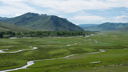 grüne Mongolei