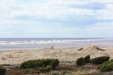 Берег северного моря в ветреную погоду.
