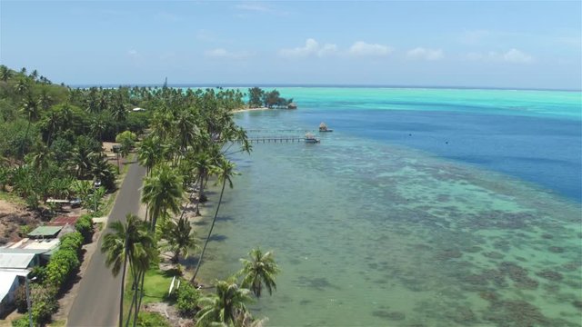 AERIAL: Exotic coastline with white sand beaches and palm trees