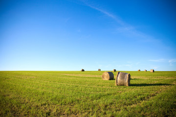 Meules de foin au champ