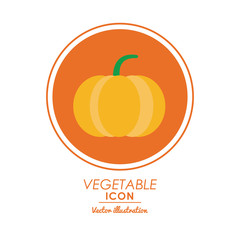 Nutrition and Healthy food concept represented by pumpkin icon over circle shape. Colorfull and flat illustration.