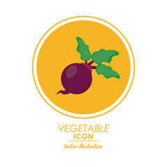 Nutrition and Healthy food concept represented by onion icon over circle shape. Colorfull and flat illustration.