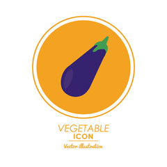 Nutrition and Healthy food concept represented by eggplant icon over circle shape. Colorfull and flat illustration.