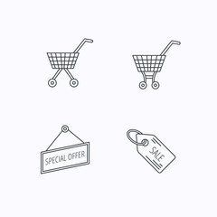 Shopping cart, special offer and sale coupon icons.