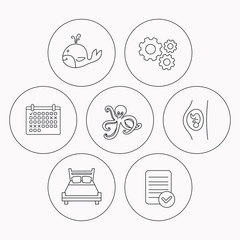 Fototapeta premium Whale, octopus and double bed icons.