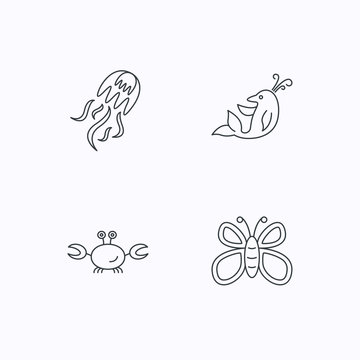 Jellyfish, crab and dolphin icons.