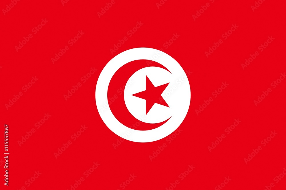 Poster Drapeau de la Tunisie