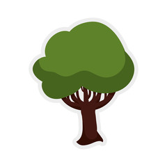 Nature concept represented by green tree icon. Isolated and flat illustration 