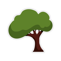 Nature concept represented by green tree icon. Isolated and flat illustration 