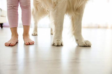 Child legs and dog paws on the floor