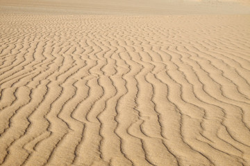 Fototapeta na wymiar Sand dune in Corralejo, Fuerteventura.