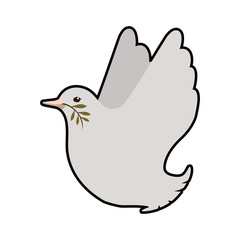 Obraz premium Bird and peace concept represented by dove icon. Isolated and flat illustration 