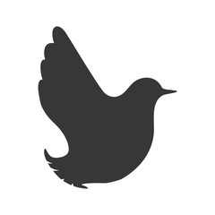 Bird and peace concept represented by dove icon. Isolated and flat illustration 