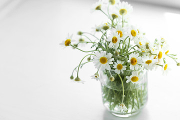 Chamomile bouquet on light background