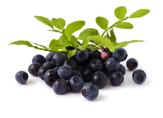 ripe fresh blueberry on a white background 