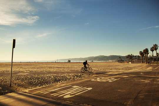 USA, California, Los Angeles, Venice Beach, One person cycling along beach