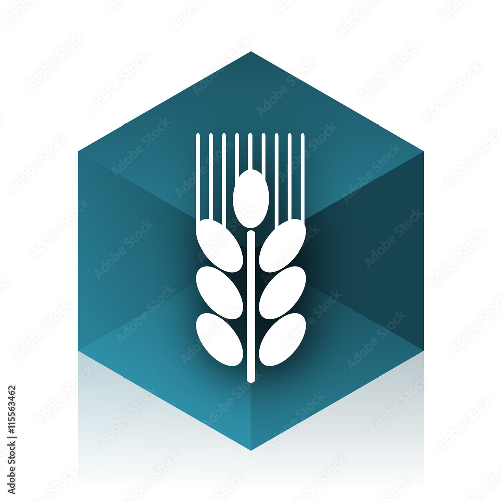Poster grain blue cube icon, modern design web element