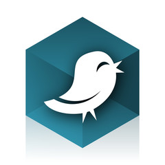 twitter blue cube icon, modern design web element