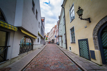Fototapeta na wymiar Cobblestone street and medieval architecture in the Old Town of