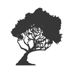 Nature concept represented by tree icon. Isolated and flat illustration 