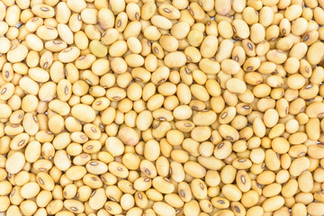 Soybean background