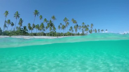 UNDERWATER SLOW MOTION: Beautiful exotic island crystal clear ocean lagoon