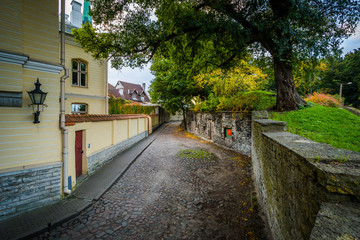 Narrow cobblestone street and wall in the Old Town, Tallinn, Est