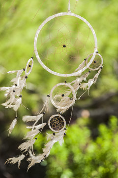 The dream catcher