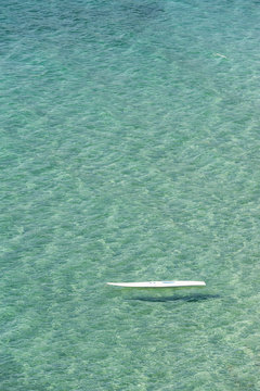 Stand up Paddle in the sea