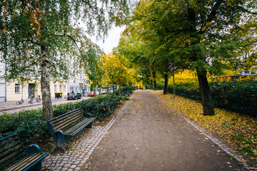 Walkway and autumn color at Helmholtzplatz, in Prenzlauer Berg,