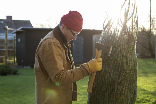 Sweden, Vastergotland, Man with axe looking at christmas tree