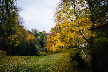 Autumn color and a hill in Malá Strana, Prague, Czech Republic.