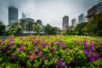 Flowers and fountain at Hong Kong Zoological And Botanical Garde