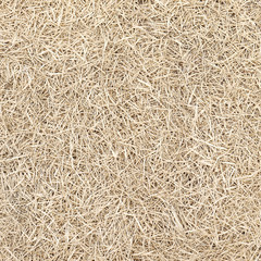 hay dry grass texture