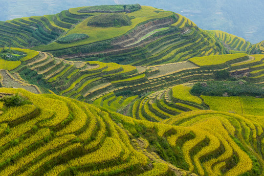 China, Sichuan, Guilin, Aerial view of rural landscape