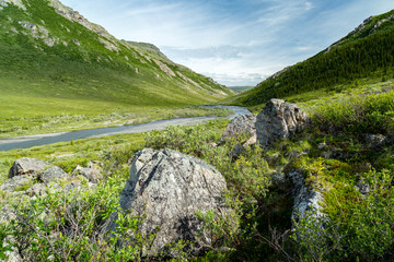 Denali National Park