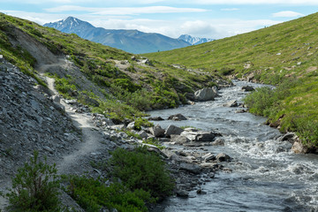 Denali National Park